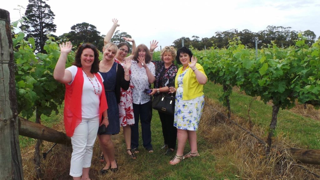 tailored wine tours