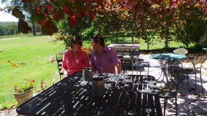 Home - The Grape Escape  Southern Highlands Wine Tours