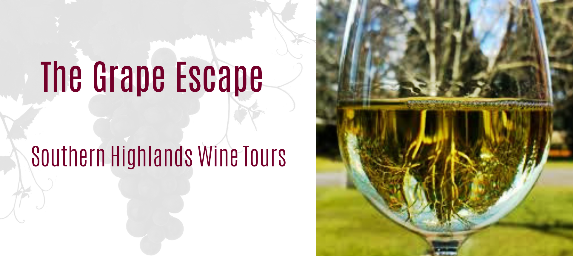 Moet and Chandon tour- Grape Escapes Wine Tours